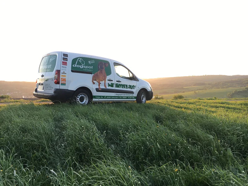 Donnerstag ist Dogspot - Tag