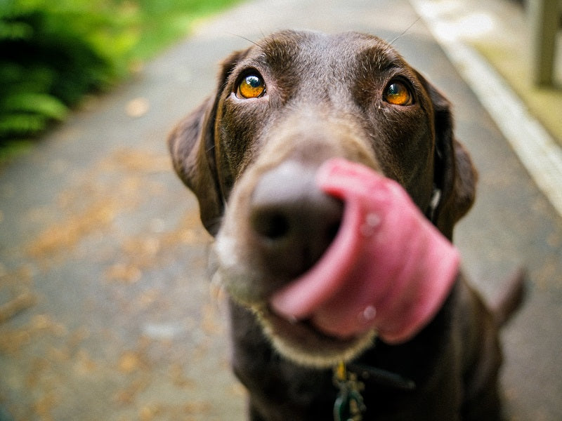 Einkaufen und Gutes tun