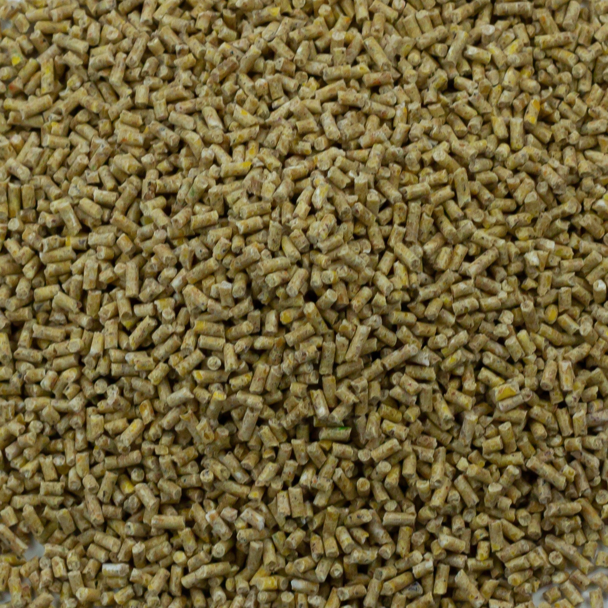 Alfana Wachtel Korn Deluxe Premium Wachtelfutter