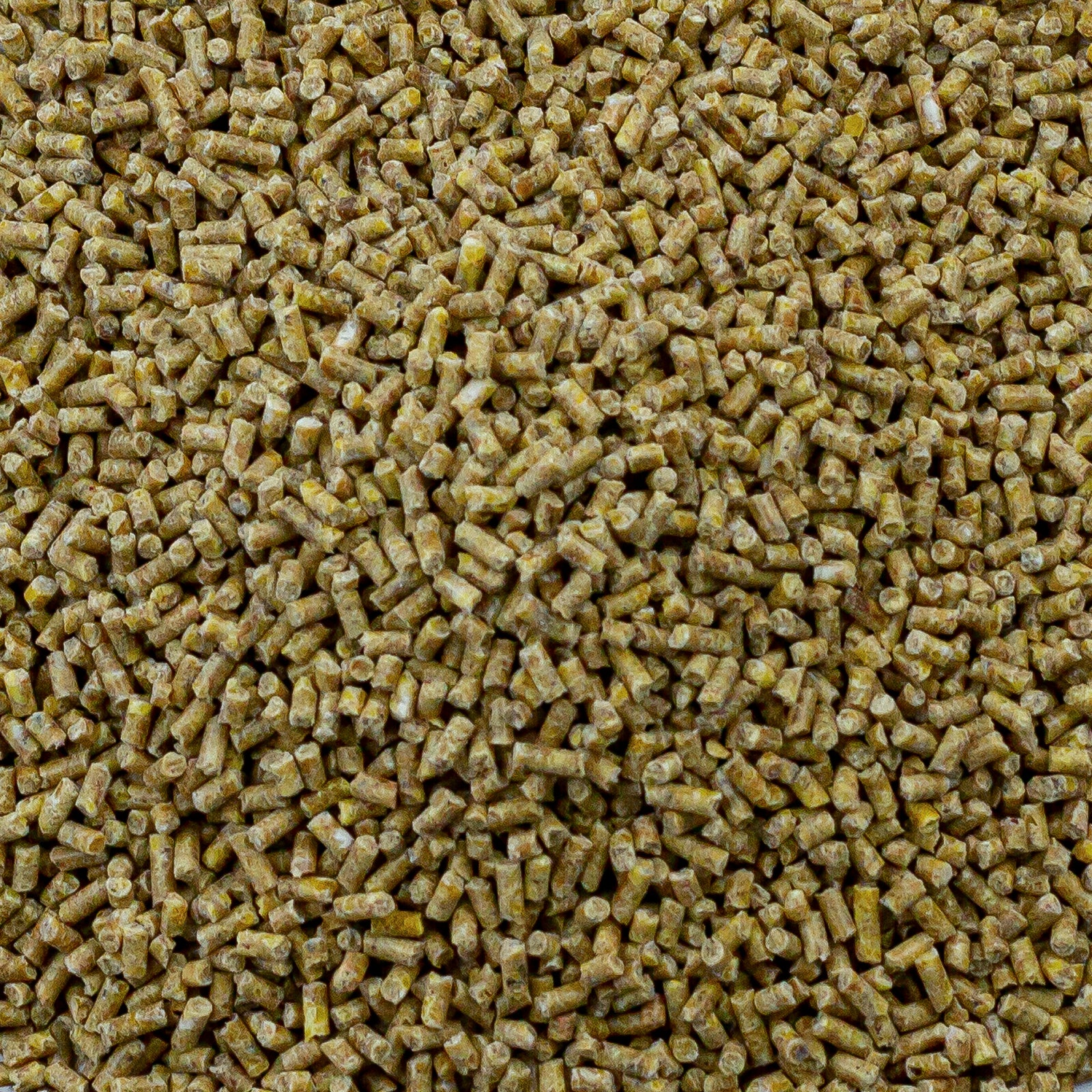 Alfana Wachtel Korn "Junior" - Wachtelkükenfutter