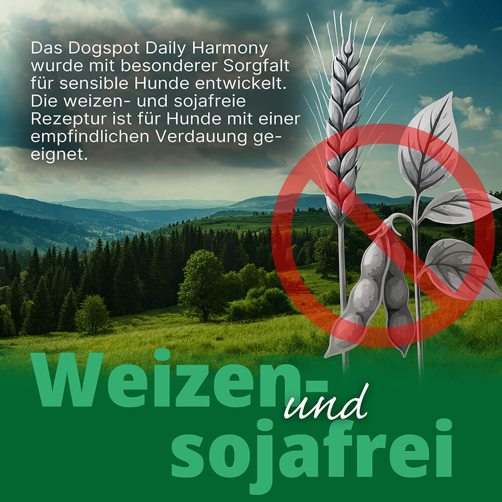 Dogspot - Daily Harmony