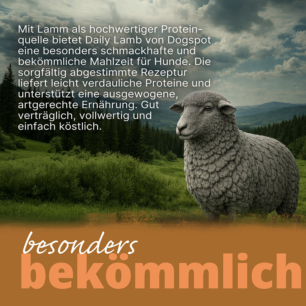 Dogspot - Daily Lamb