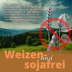 Dogspot - Daily Lamb