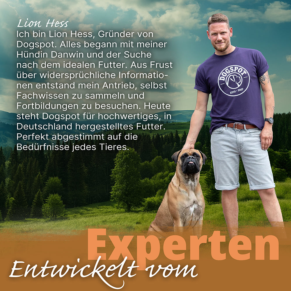 Dogspot - Daily Lamb