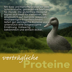 Dogspot - Ente-Kartoffel