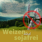 Dogspot - Ente-Kartoffel