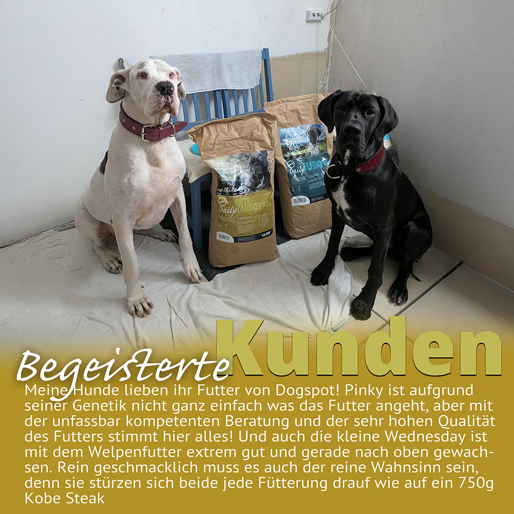 Dogspot - Ente-Kartoffel