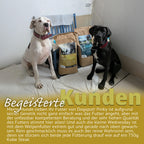 Dogspot - Ente-Kartoffel
