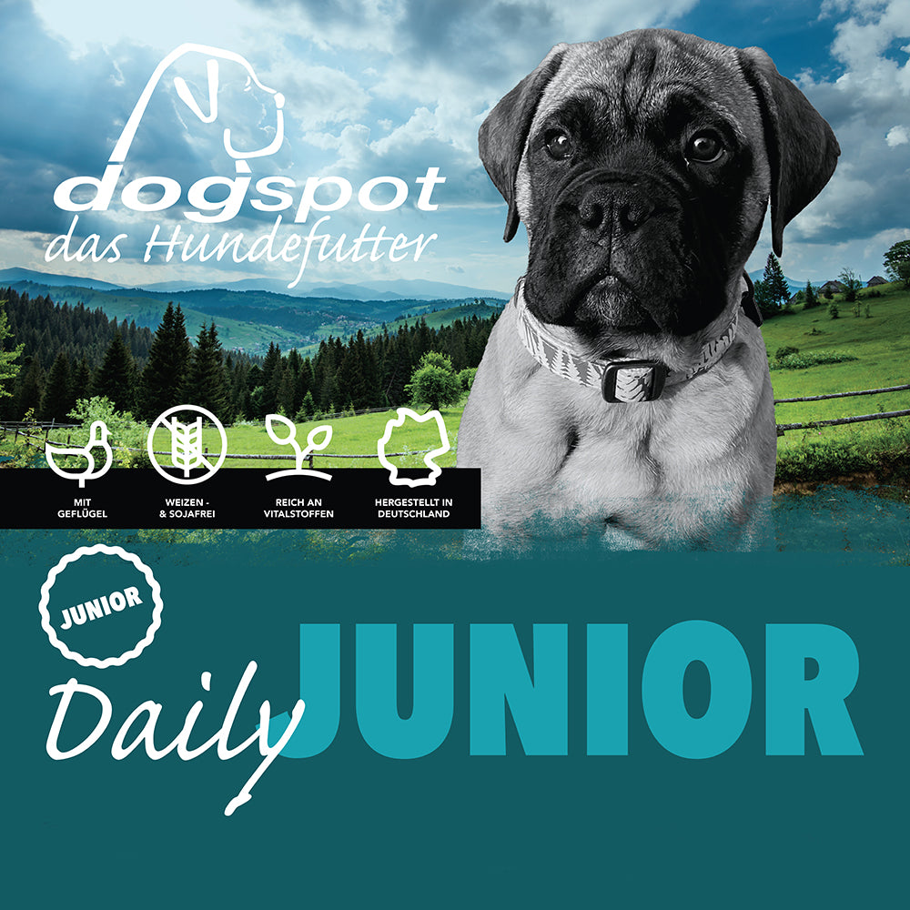 Dogspot Daily Junior