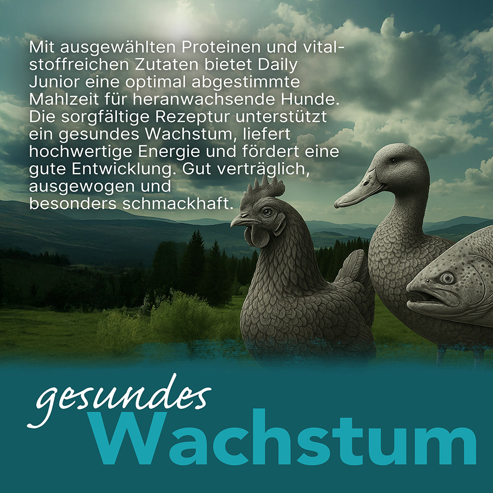 Dogspot Daily Junior