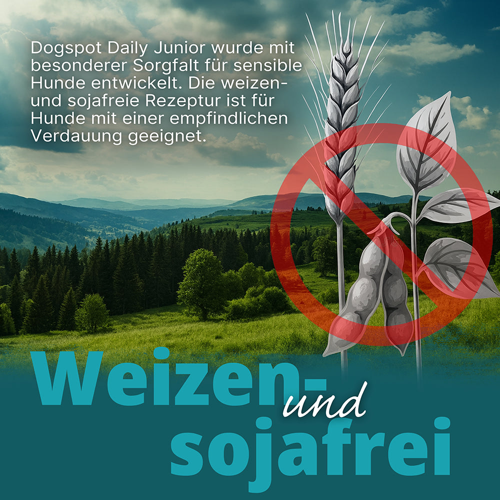 Dogspot Daily Junior