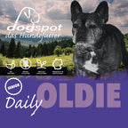 Dogspot - Daily Oldie