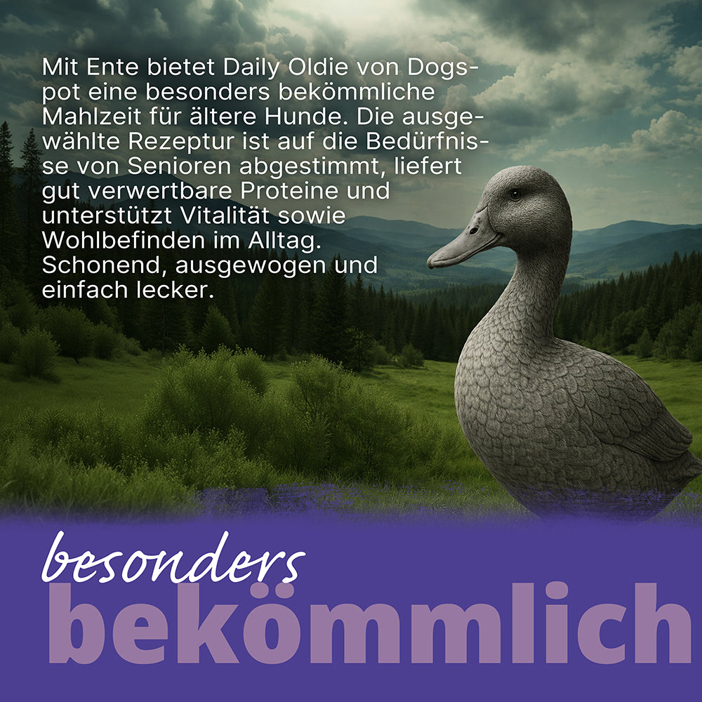 Dogspot - Daily Oldie