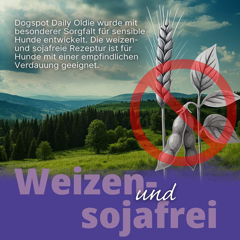 Dogspot - Daily Oldie