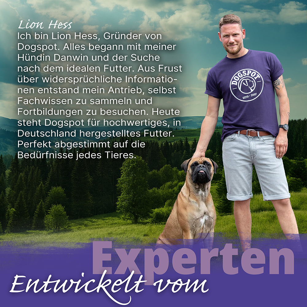 Dogspot - Daily Oldie