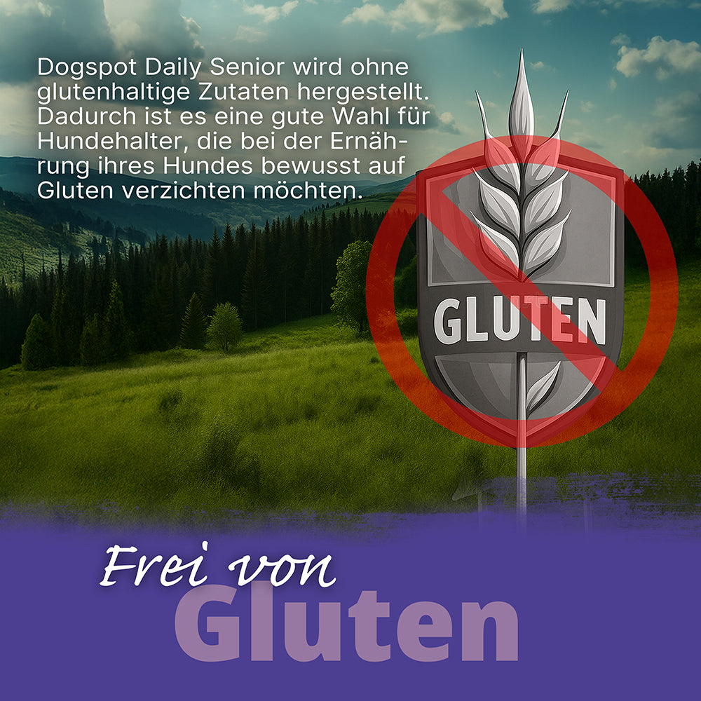 Dogspot - Daily Oldie