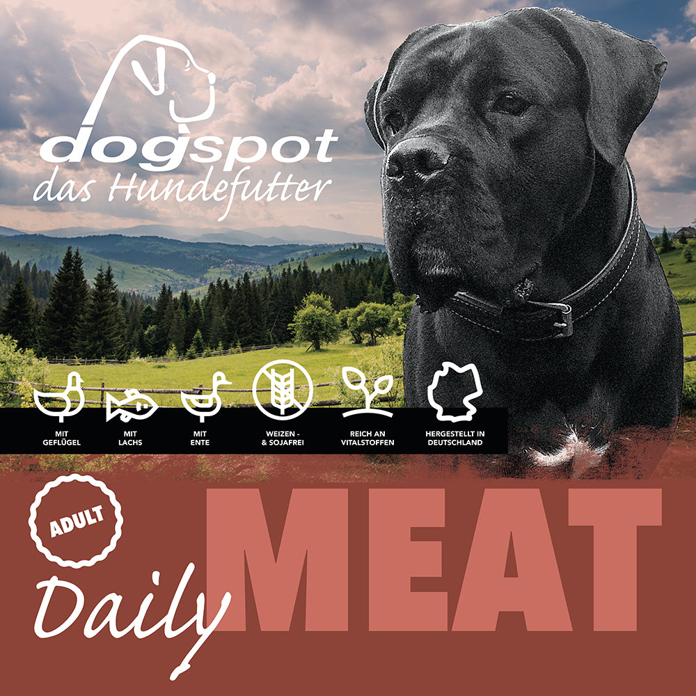Dogspot Daily Meat