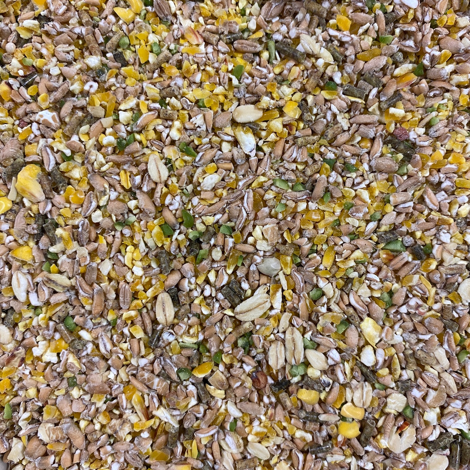 Alfana Kükengrütze mit Kräuter