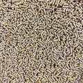 Alfana 1022 HZ I Orpington Starter – Pellet (aufgeteilt)