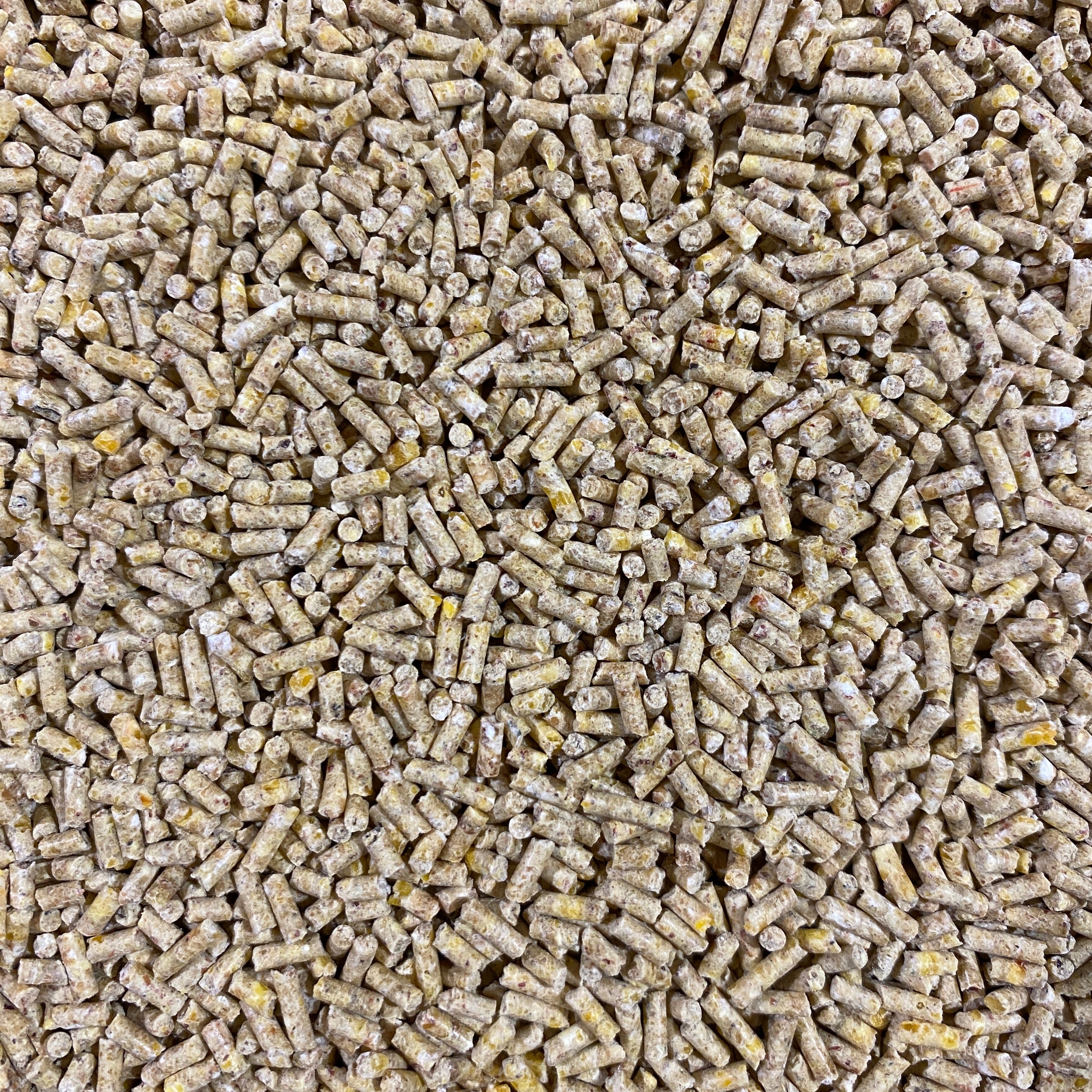 Alfana HZ II Orpington Aufzucht – Pellet