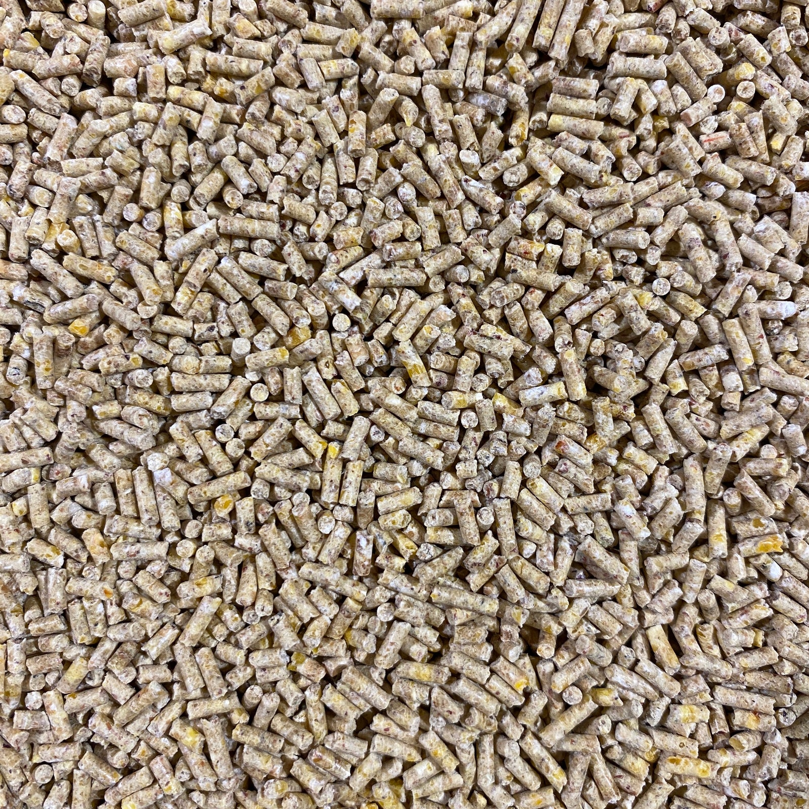 Alfana HZ II Orpington Aufzucht – Pellet