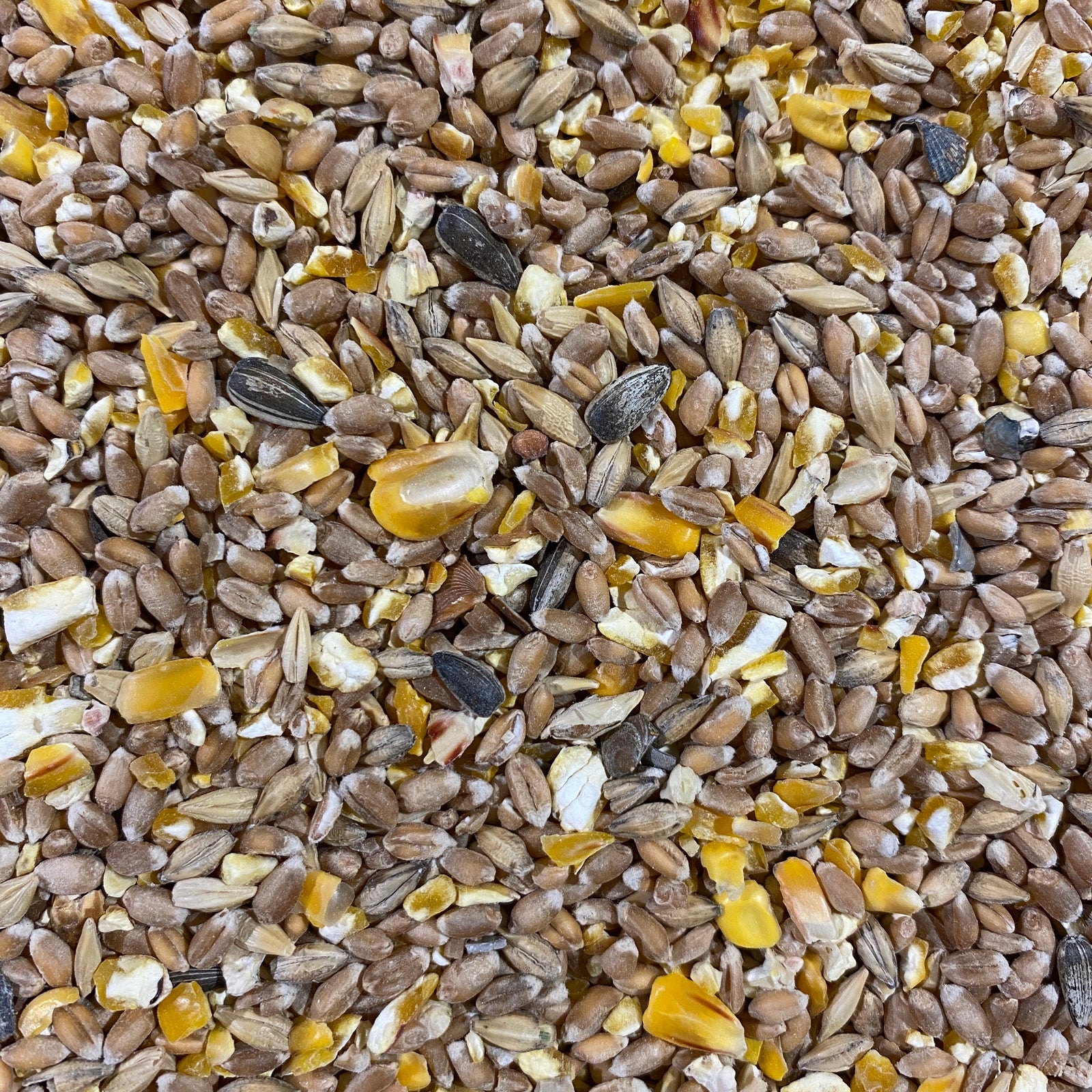 Alfana Geflügelmischfutter Standard