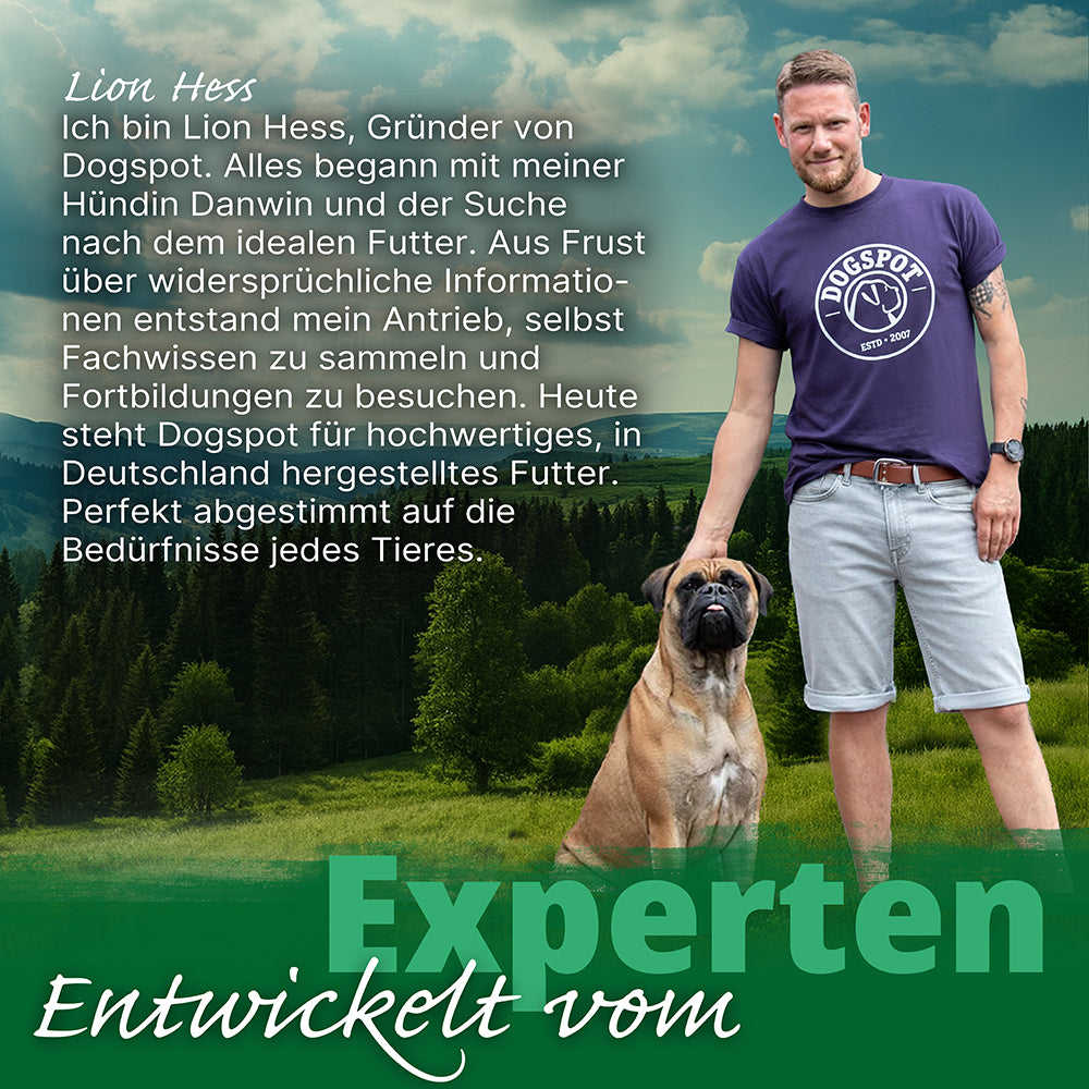 Dogspot - Daily Harmony