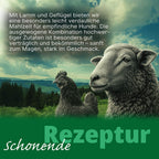 Dogspot - Daily Harmony