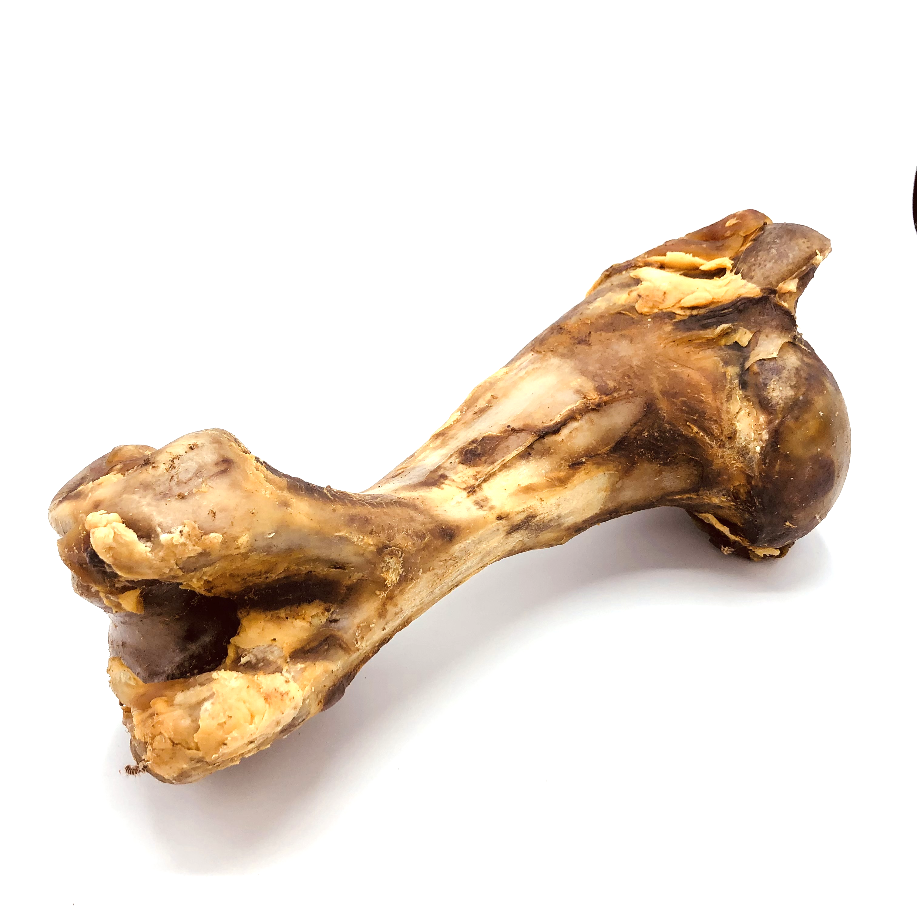 Rinder Jumbo Knochen