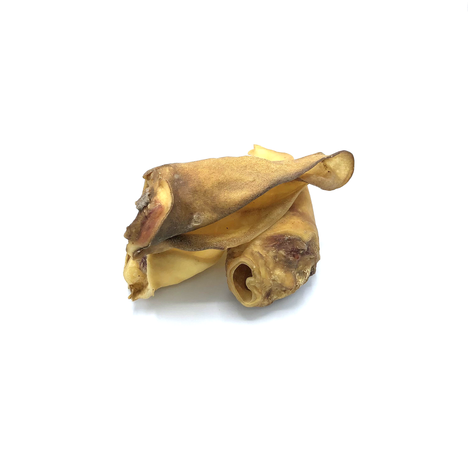 Rinderohren honiggelb