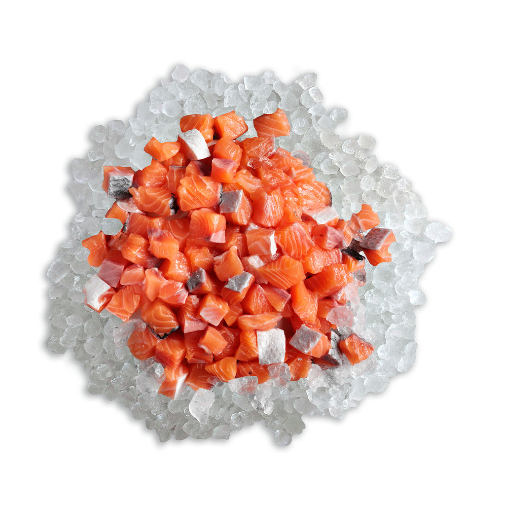 Belcando MASTERCRAFT Fresh Salmon