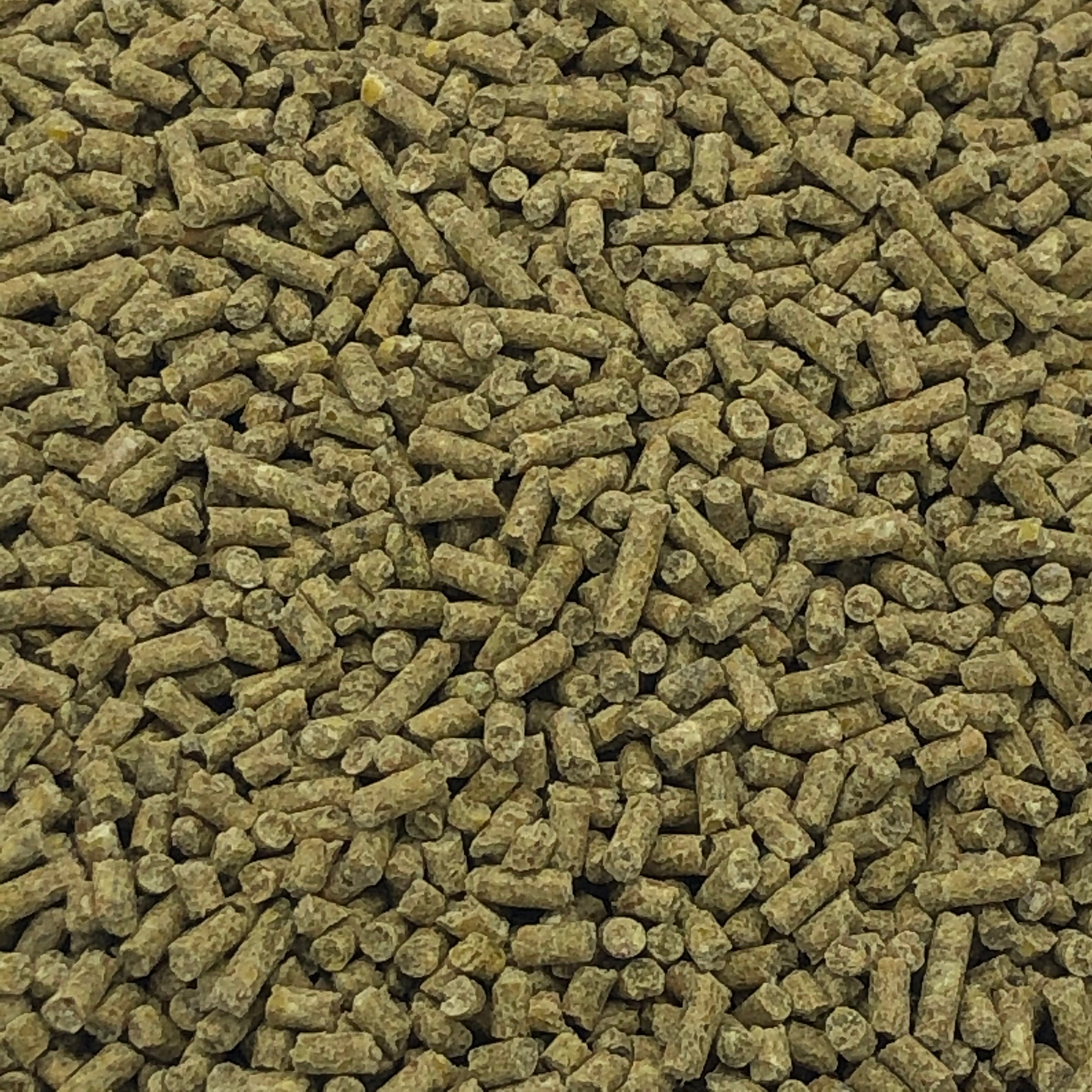 Alfana Elterntier Spezialkorn