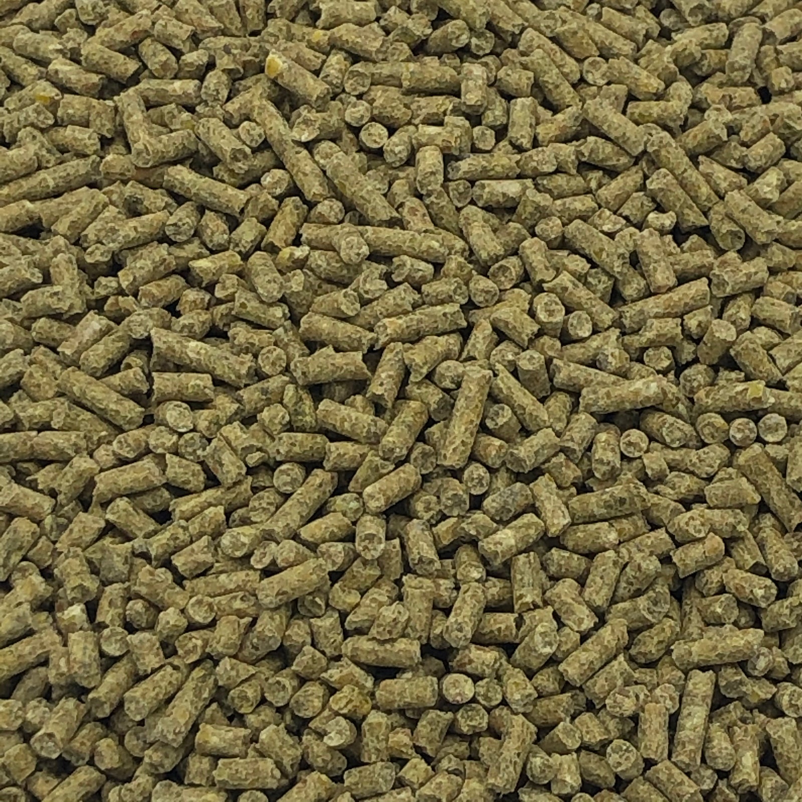 Alfana Elterntier Spezialkorn