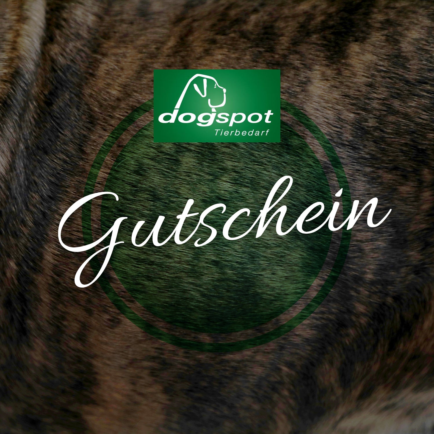 Dogspot - Geschenkgutschein